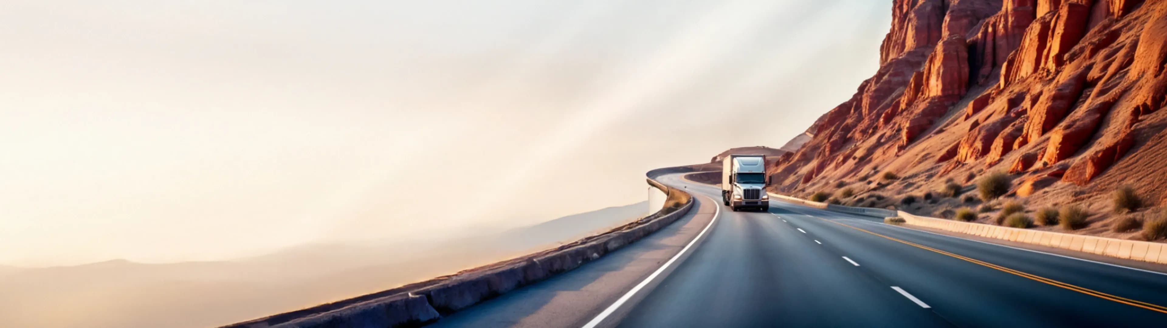 International road freight transportation — Black Port